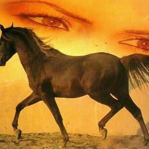 Meet your Posher, Faten